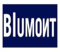 Blumont India LLP